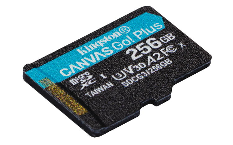 Kingston Canvas Go! Plus 256 GB