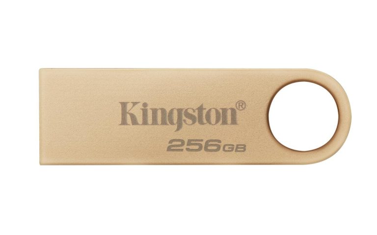 Kingston DataTraveler SE9 G3 Gold 256GB