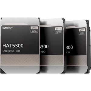 Synology HAT5300 12 TB Enterprise HDD