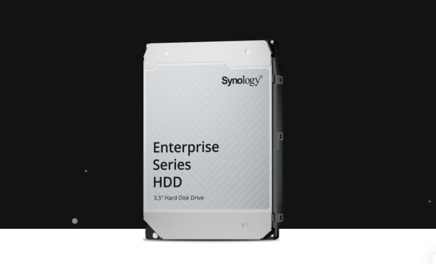 Synology HAT5310 20 TB Enterprise HDD